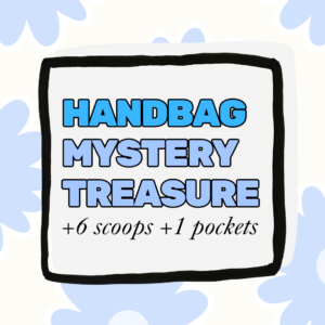 handbag treasure mystery box!